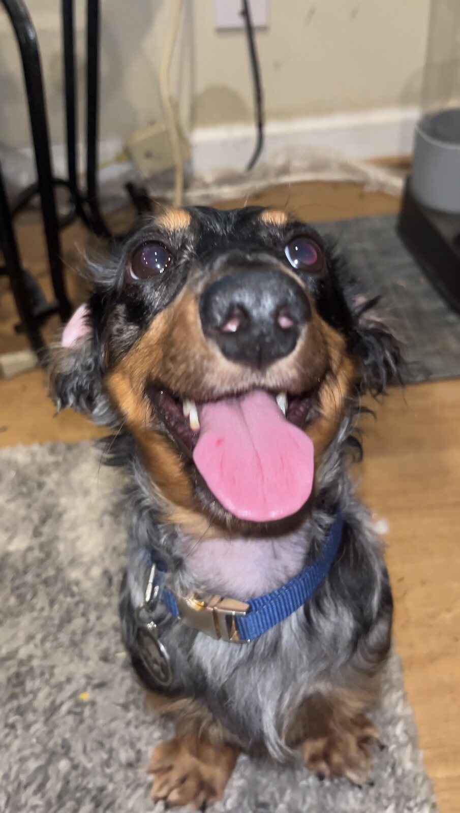 Frank looks directly into the camera with a huge smile