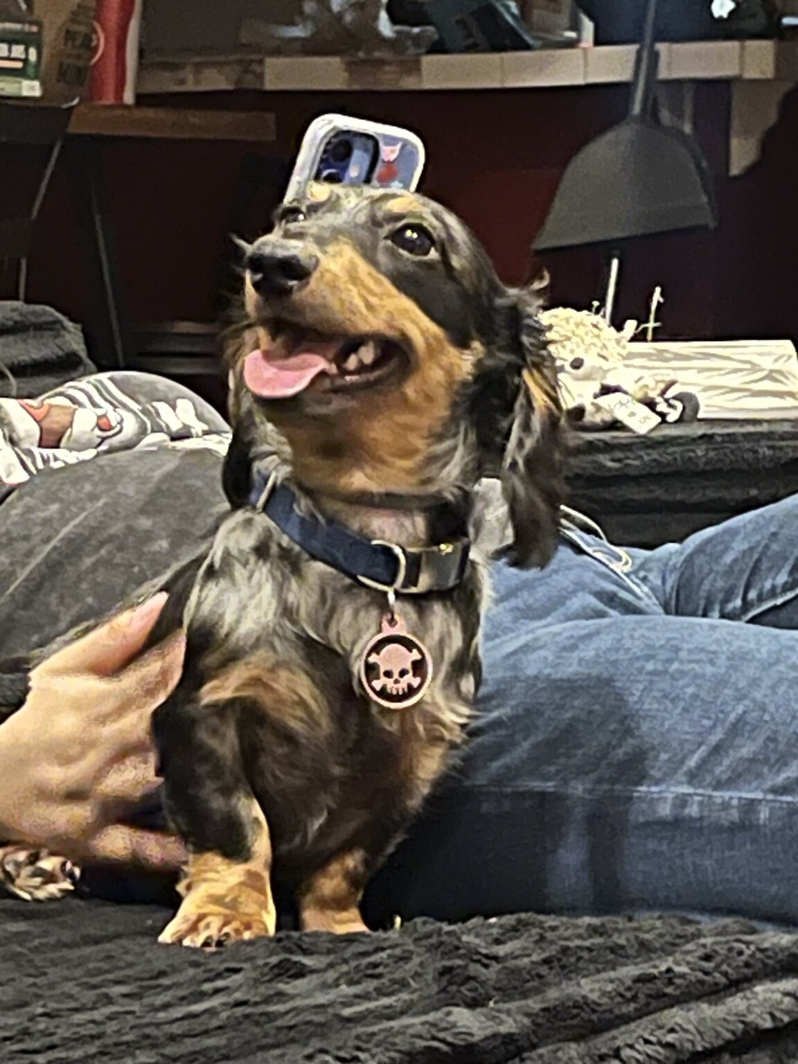 Frank sits proudly on a couch wearing a skull medallion
