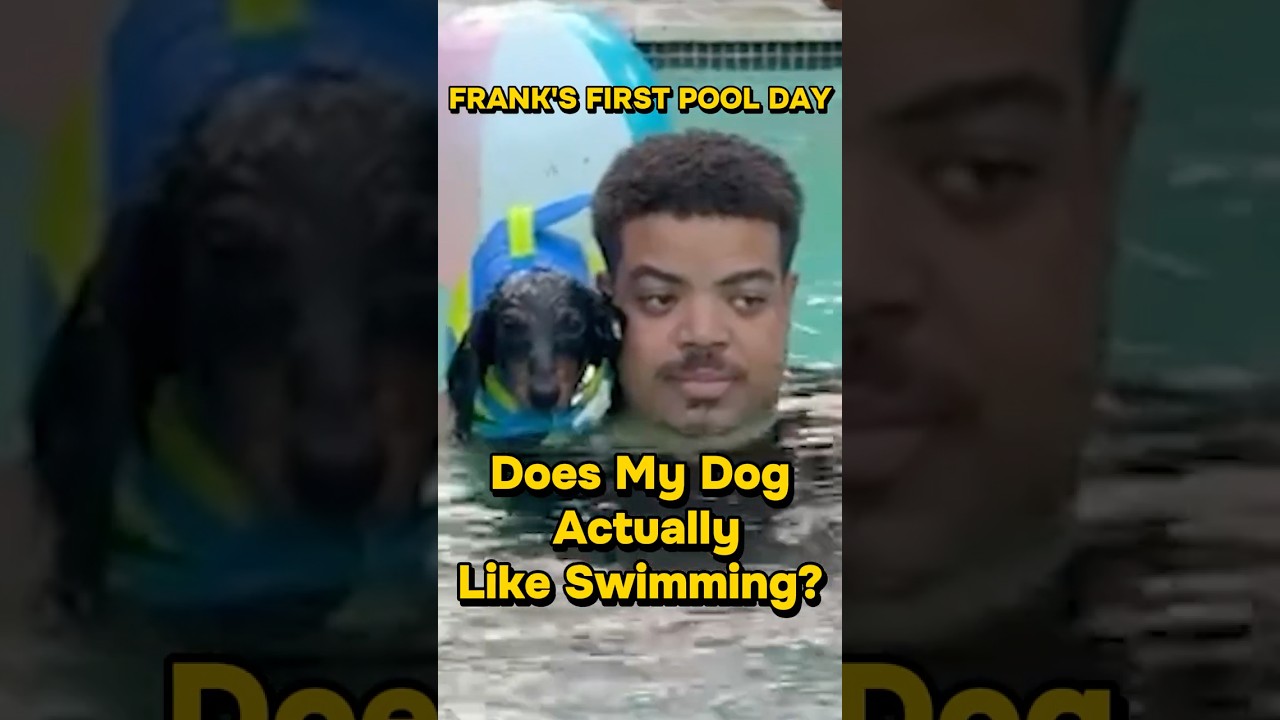 Magic and Frank together during Frank's first pool day